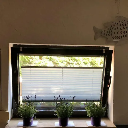 Charmantes 1 Appartement Neu-Isenburg
